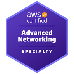 AWS Certified Advanced Networking Specialty