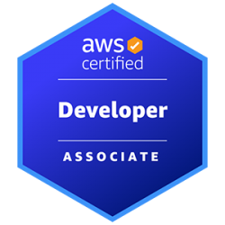 AWS Certified Developer Associate - Corso Developing on AWS