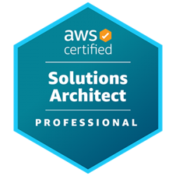 AWS Certified Solutions Architect Professional